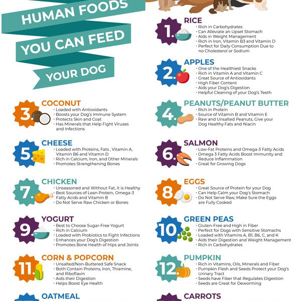 15 Healthiest Human Foods for Dogs [Infographic] - Best Infographics