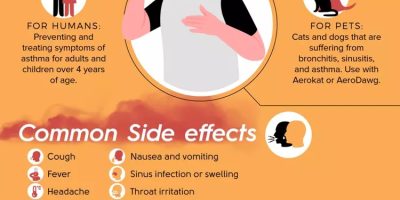 Flovent Inhaler: Benefits & Side Effects [Infographic]