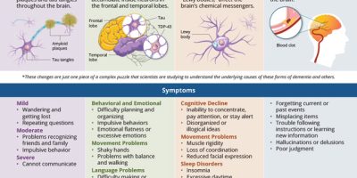 Understanding Different Types of Dementia [Infographic]