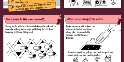 Guide to Wine Storage At Home [Infographic]