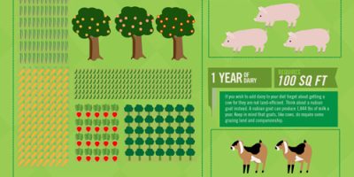 How Big a Backyard You Need To Live Off the Land? [Infographic]