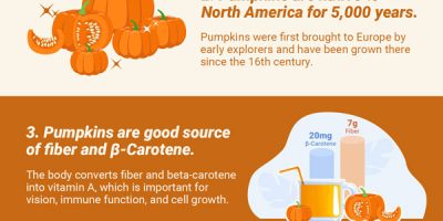 6 Things You May Not Know About Pumpkins [Infographic]