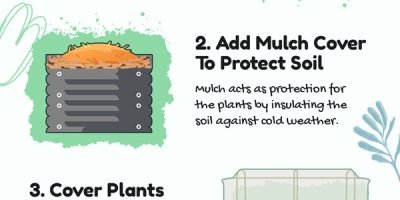 How to Keep Your Plant Alive In Winter Season? [Infographic]