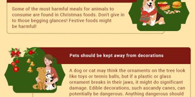6 Christmas Safety Tips for Pets [Infographic]