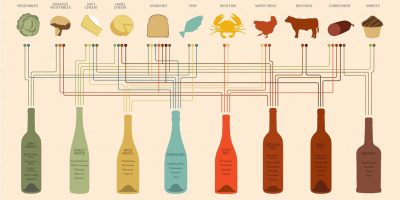 Pairing Wine & Food Infographic