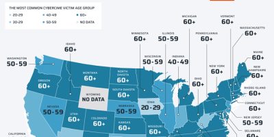 The Most Targeted Age Group for Cybercrime in Every State