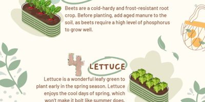 Cold Resistant Vegetables for Early Spring [Infographic]