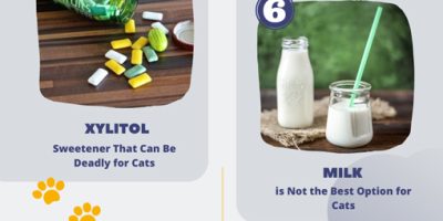 11 Dangerous Foods for Cats [Infographic]