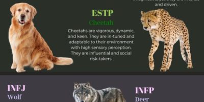 Animal Personality Types [Infographic]