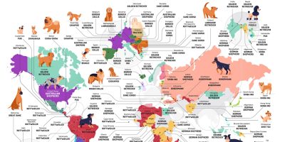 The Most Popular Dogs In Every Country [Infographic]