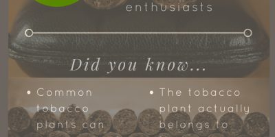 Fascinating Facts About Cigars [Infographic]
