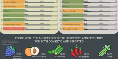 Foods with Most & Least Herbicides & Pesticides [Infographic]