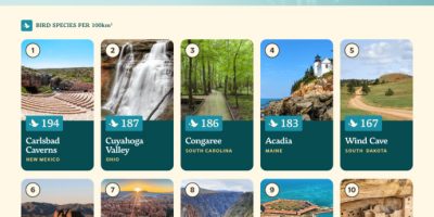 Top 10 American National Parks for Bird Watching [Infographic]