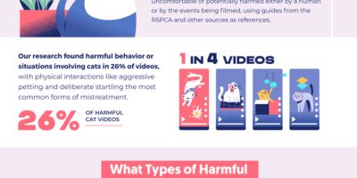 How Often TikTok Videos of Cats Show Harmful Interactions [Infographic]