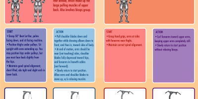 6 Bowflex Xceed Home Gym Exercises [Infographic]