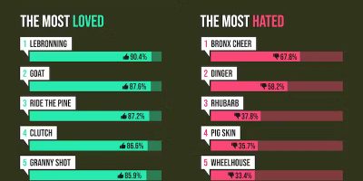 The Most Hated & Loved Sport Slang Words [Infographic]