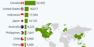 The Countries With the Most Islands [Infographic]