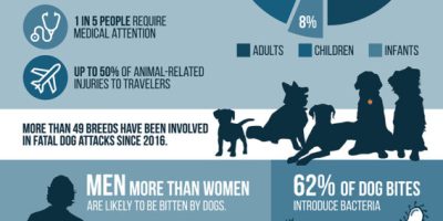 Facts About Dog Bites [Infographic]