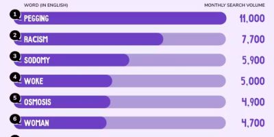 Top 10 Most Searched For Word Definition in the UK [Infographic]