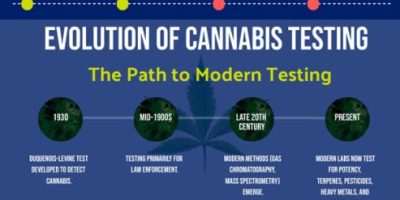 The History of Cannabis [Infographic]