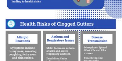 Why Gutter Cleaning Matters for Managing Your Allergies
