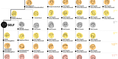 The Ultimate Family Tree Guide [Infographic]