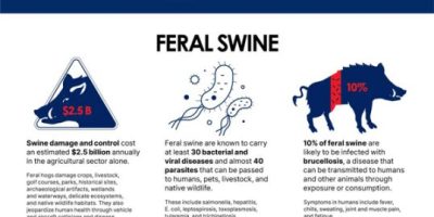 Dangers of Wildlife to Livestock and Crops in the US